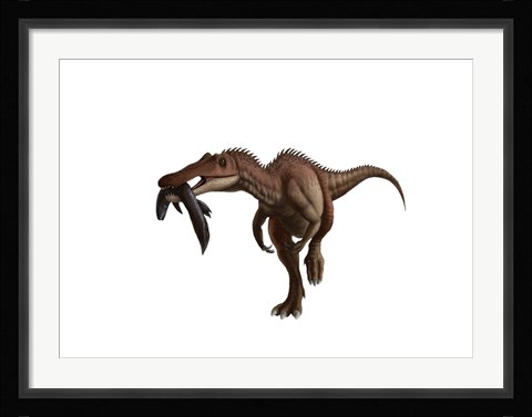 Framed Baryonyx dinosaur with a fish in mouth, white background Print