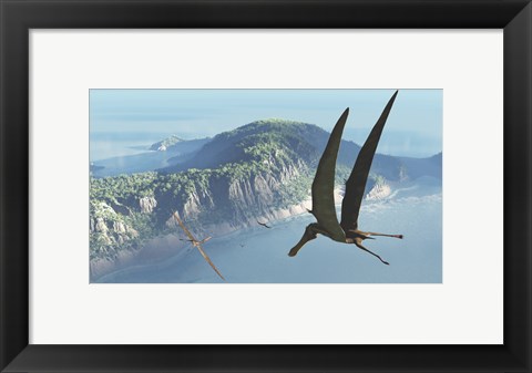 Framed Species from the genus Anhanguera soar 105 million years ago over what is today Brazil Print