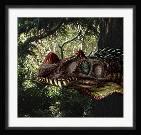 Framed Ceratosaurus magnicornis of the Late Jurassic Period Print