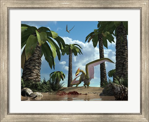 Framed pterosaur flying reptile lands next to some carrion Print