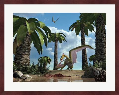 Framed pterosaur flying reptile lands next to some carrion Print