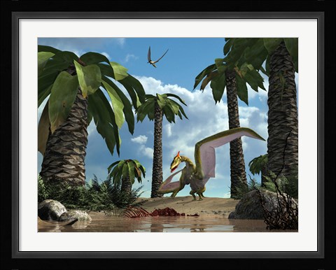 Framed pterosaur flying reptile lands next to some carrion Print