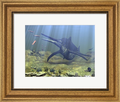 Framed massive Shonisaurus attempts to make a meal of a school of squid-like Belemnites Print