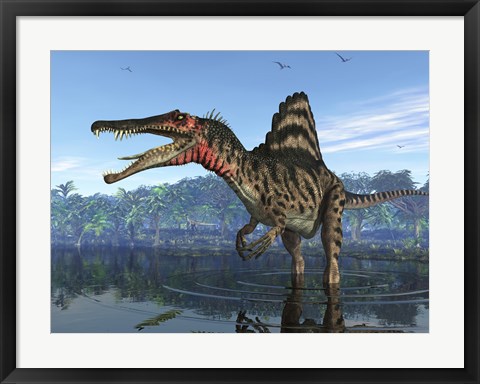 Framed Spinosaurus searches for its next meal Print