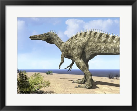 Framed carnivorous Suchomimus wanders a beach on the ancient Tethys Ocean Print