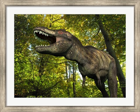 Framed Tyrannosaurus wanders a Cretaceous forest Print