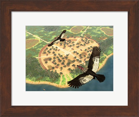 Framed pair of Andean Condors fly over an Amazonian village Print