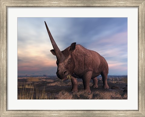 Framed Elasmotherium grazing Print