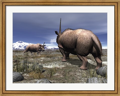 Framed pair of male Elasmotherium confront one another Print