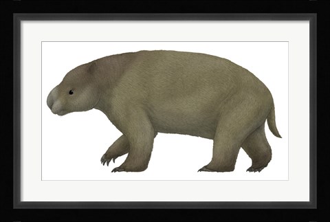 Framed Diprotodon, the Largest know Marsupial Print