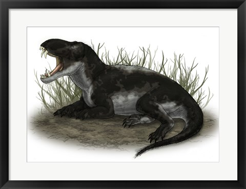 Framed Pampaphoneus, a Genus of Dinocephalian Dinosaur Print