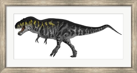 Framed Tyrannosaurus Rex, a Large Predator of the Cretaceous Period Print