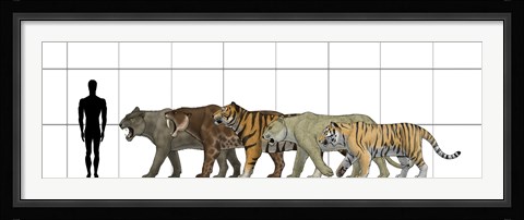 Framed Big Felines Size Chart Print