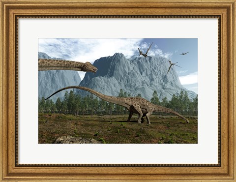 Framed Diplodocus Dinosaurs Graze While Pterodactyls Fly Overhead Print