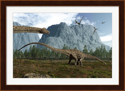 Framed Diplodocus Dinosaurs Graze While Pterodactyls Fly Overhead Print