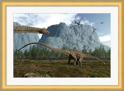 Framed Diplodocus Dinosaurs Graze While Pterodactyls Fly Overhead Print