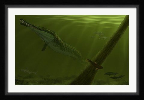 Framed Pedra de Fogo Formation featuring a genus of Prionosuchus Print