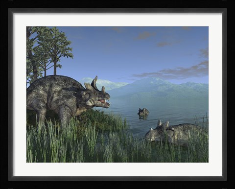 Framed Three Estemmenosuchus Mirabilis Face off in a Paleozoic Lake Print