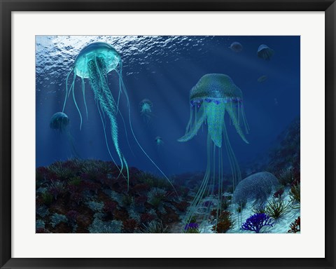 Framed Swarm of Jellyfish Swim the Panthalassic Ocean Print