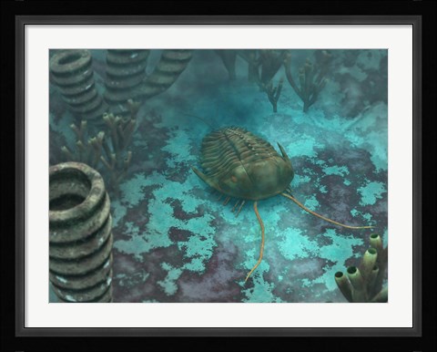 Framed Olenoides Trilobite Scurries across a Middle Cambrian Ocean Floor Print