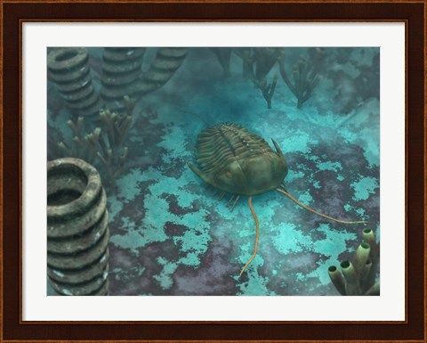 Framed Olenoides Trilobite Scurries across a Middle Cambrian Ocean Floor Print