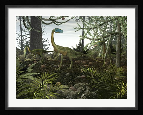 Framed Coelophysis Dinosaurs Walk Amongst a Forest Print
