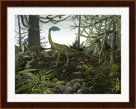 Framed Coelophysis Dinosaurs Walk Amongst a Forest Print