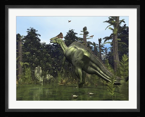 Framed Lambeosaurus Rears onto its Hind Legs in Response to a Threat Print
