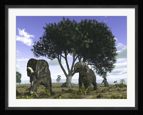 Framed Nedoceratops Graze Beneath a Giant Oak Tree Print