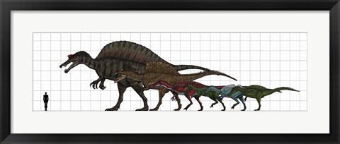 Framed Spinosauridae Size chart Print