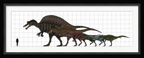 Framed Spinosauridae Size chart Print