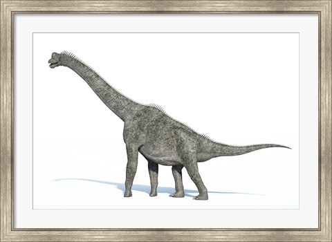 Framed 3D Rendering of a Brachiosaurus Dinosaur Print