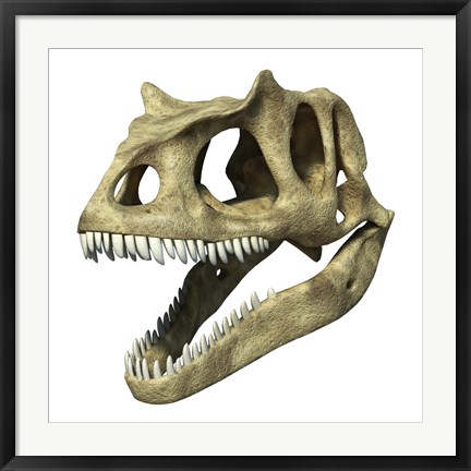 Framed 3D Rendering of an Allosaurus Skull Print