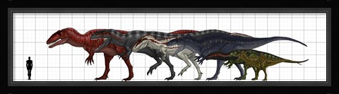 Framed Carcharodontosauridae Size Chart Print
