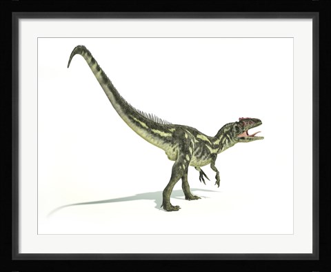 Framed Allosaurus Dinosaur Print