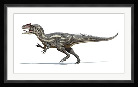 Framed Allosaurus Dinosaur on White Background Print