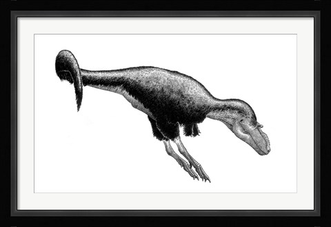 Framed Black Ink Drawing of Gorgosaurus Libratus Print