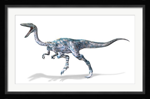 Framed 3D Rendering of a Coelophysis Rinosaur Print