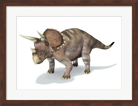 Framed 3D Rendering of a Triceratops Dinosaur Print