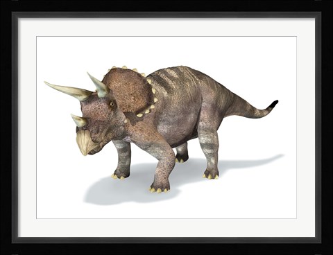 Framed 3D Rendering of a Triceratops Dinosaur Print