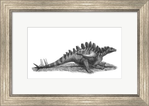 Framed Pencil Drawing of Gigantspinosaurus Sichuanensis Print