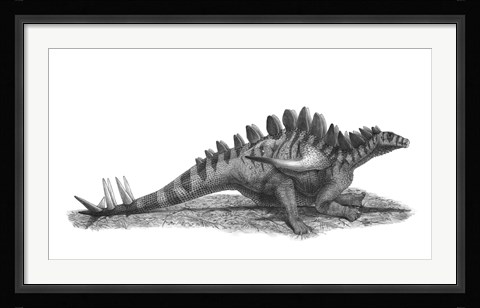Framed Pencil Drawing of Gigantspinosaurus Sichuanensis Print