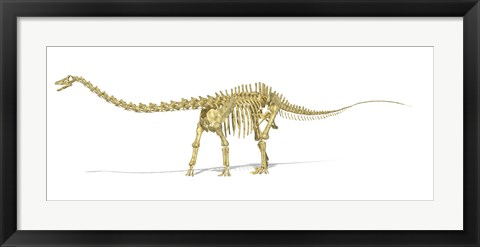 Framed 3D Rendering of a Diplodocus Dinosaur Skeleton Print