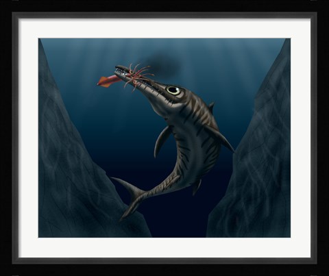 Framed Ophthalmosaurus Catches a Squid in the Deep Sea Print