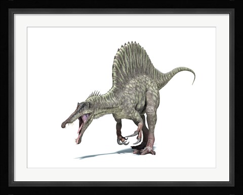 Framed 3D Rendering of a Spinosaurus Dinosaur Print