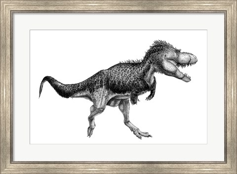 Framed Black Ink Drawing of Albertosaurus Sarcophagus Print