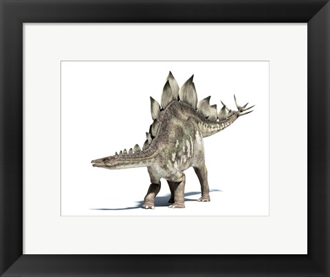 Framed 3D Rendering of a Stegosaurus Dinosaur Print