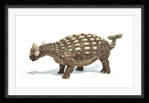 Framed Ankylosaurus Dinosaur on White Background Print