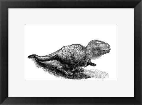 Framed Black Ink Drawing of Tarbosaurus Bataar Print