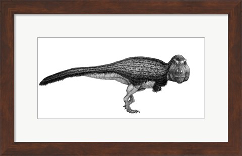 Framed Black Ink Drawing of Tyrannosaurus Rex Print
